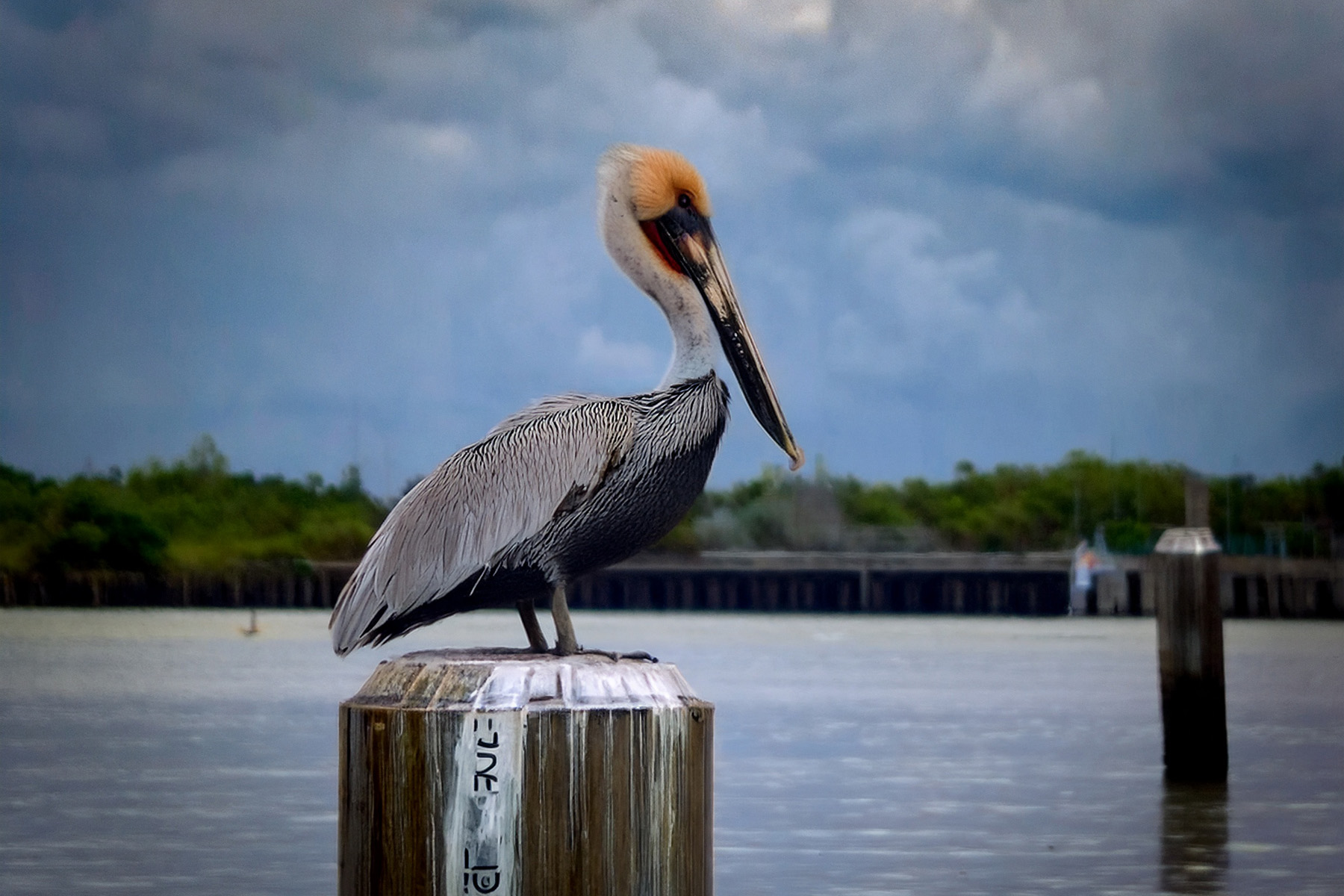 Featured image for “Easily Report Code Violations Anonymously in Daytona Beach”