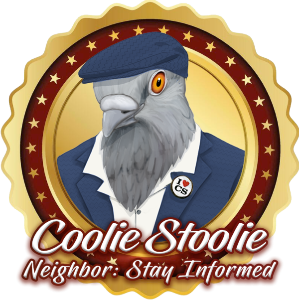 Neighbor Snitch Free Code Violation Filing | Florida