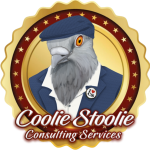 Florida Code Enforcement Consultation | SNITCH Expert Guidance