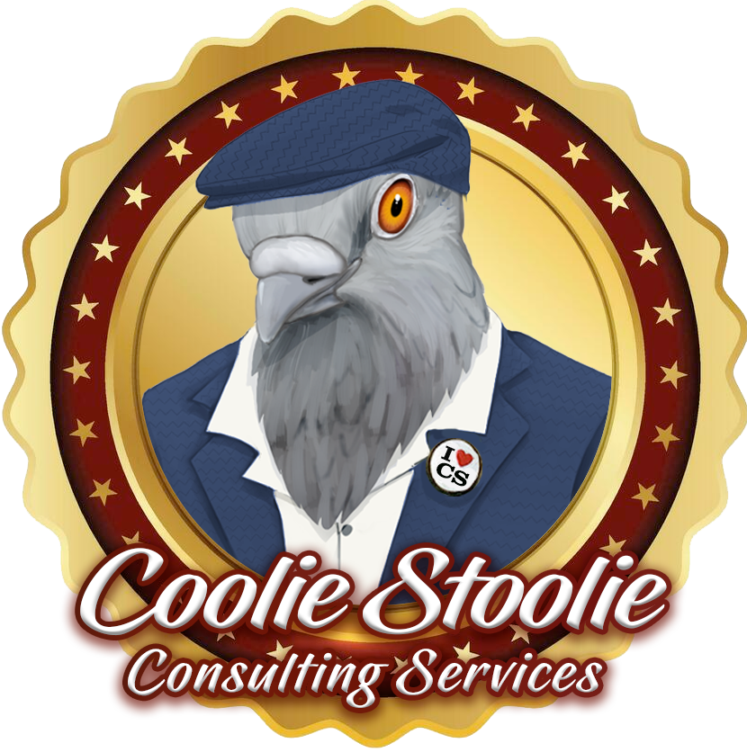 Florida Code Enforcement Consultation | SNITCH Expert Guidance